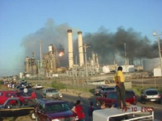 AMAUY 02  ECOLOGIA